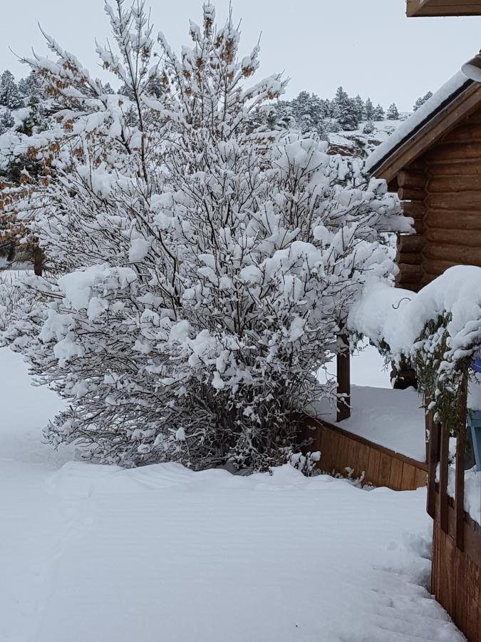 River Falls Lodging -Black Hills, South Dakota Hot Springs Buitenkant foto